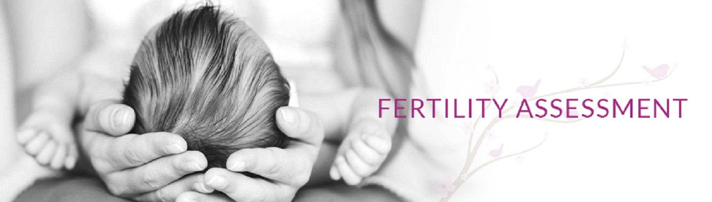 Fertility-Assessment